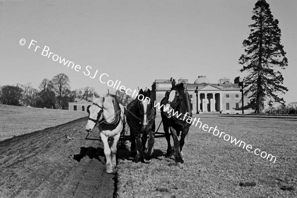 THE PLOUGHING TEAM